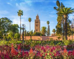 Marrakesh-bezoek-marokko-pakket-7-dagen-kareem-tours